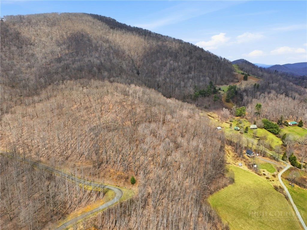 Image number 1 for the current listing