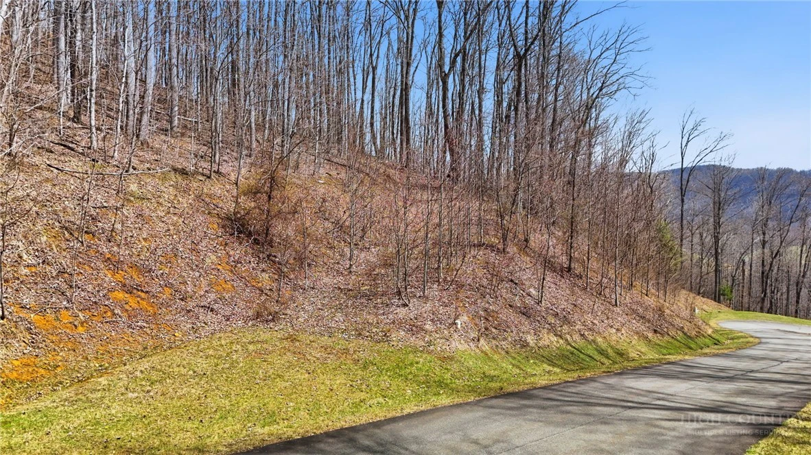 Image number 19 for the current listing