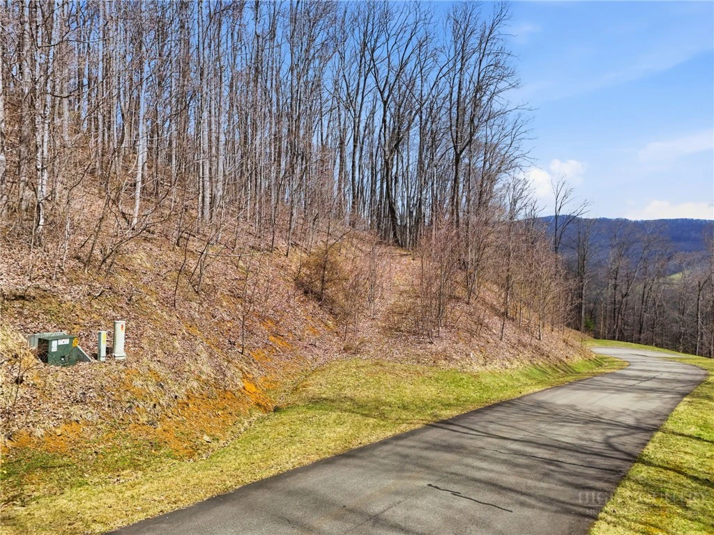 Image number 16 for the current listing