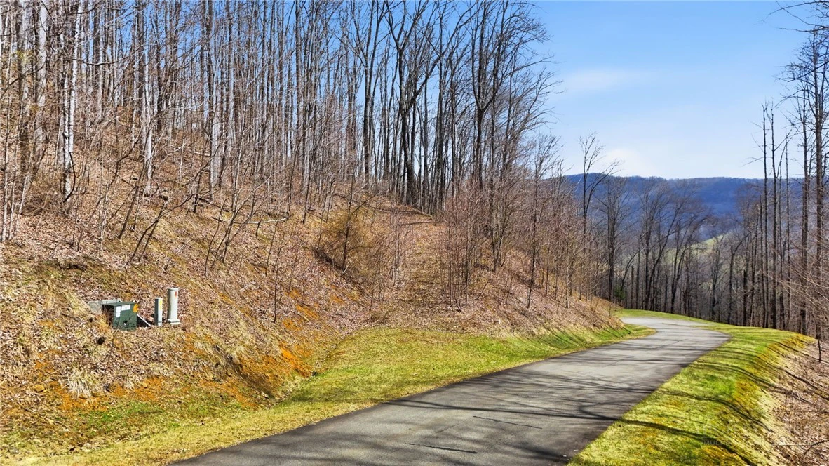 Image number 15 for the current listing