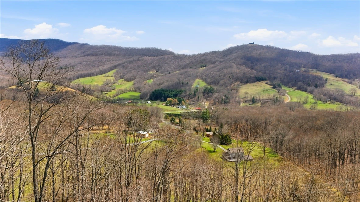 Image number 14 for the current listing