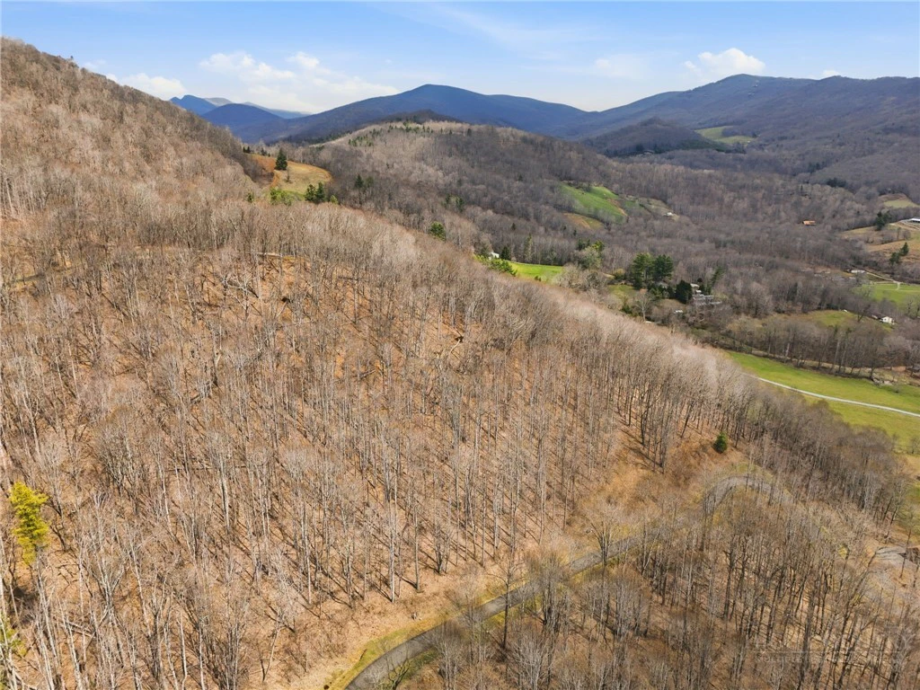 Image number 9 for the current listing