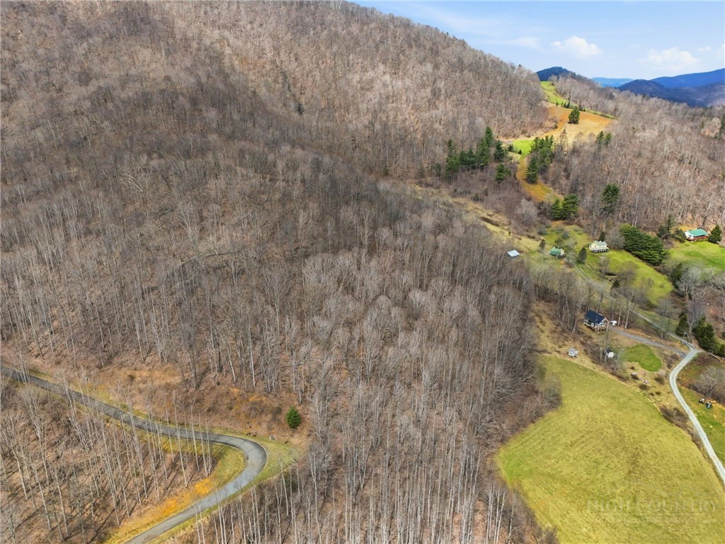 Image number 8 for the current listing