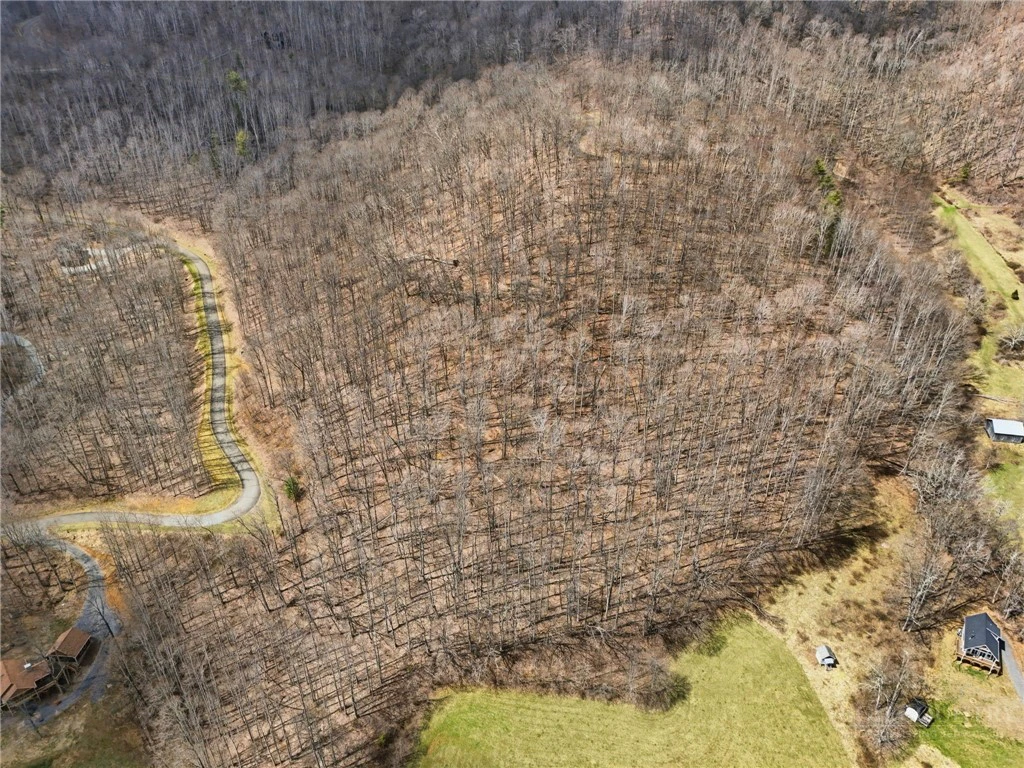 Image number 5 for the current listing