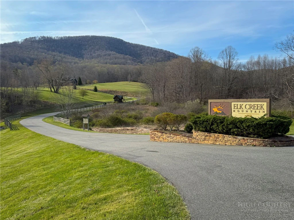 Image number 3 for the current listing