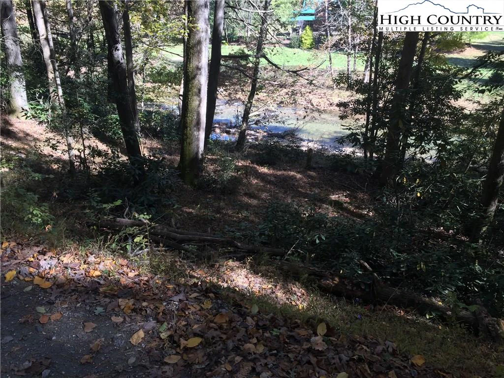 Image number 1 for the current listing