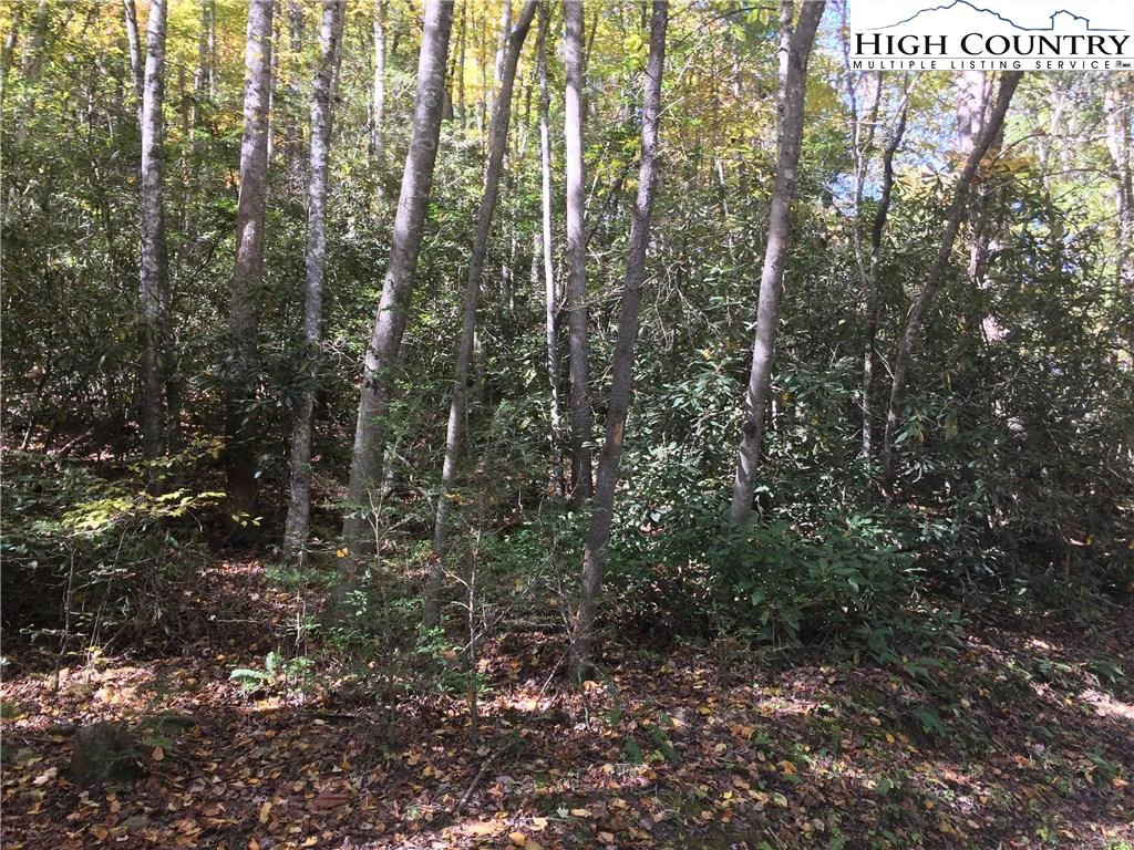 Image number 7 for the current listing