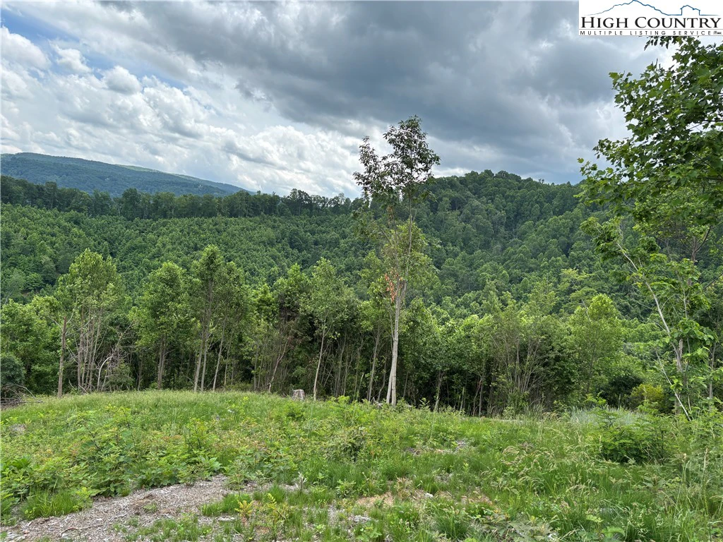 Image number 3 for the current listing