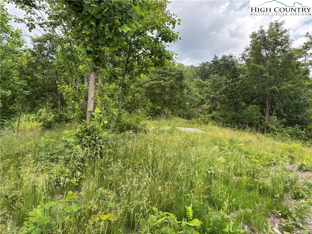 Image number 9 for the current listing