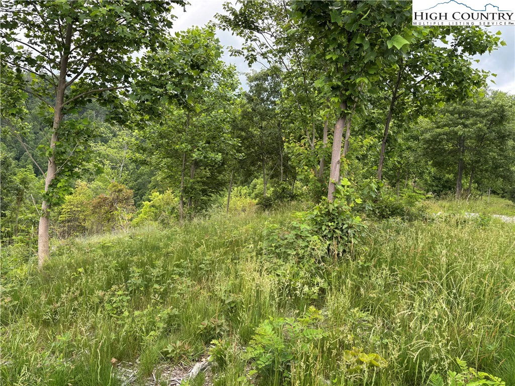 Image number 10 for the current listing