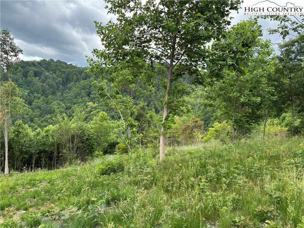 Image number 11 for the current listing