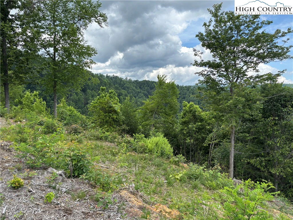 Image number 12 for the current listing