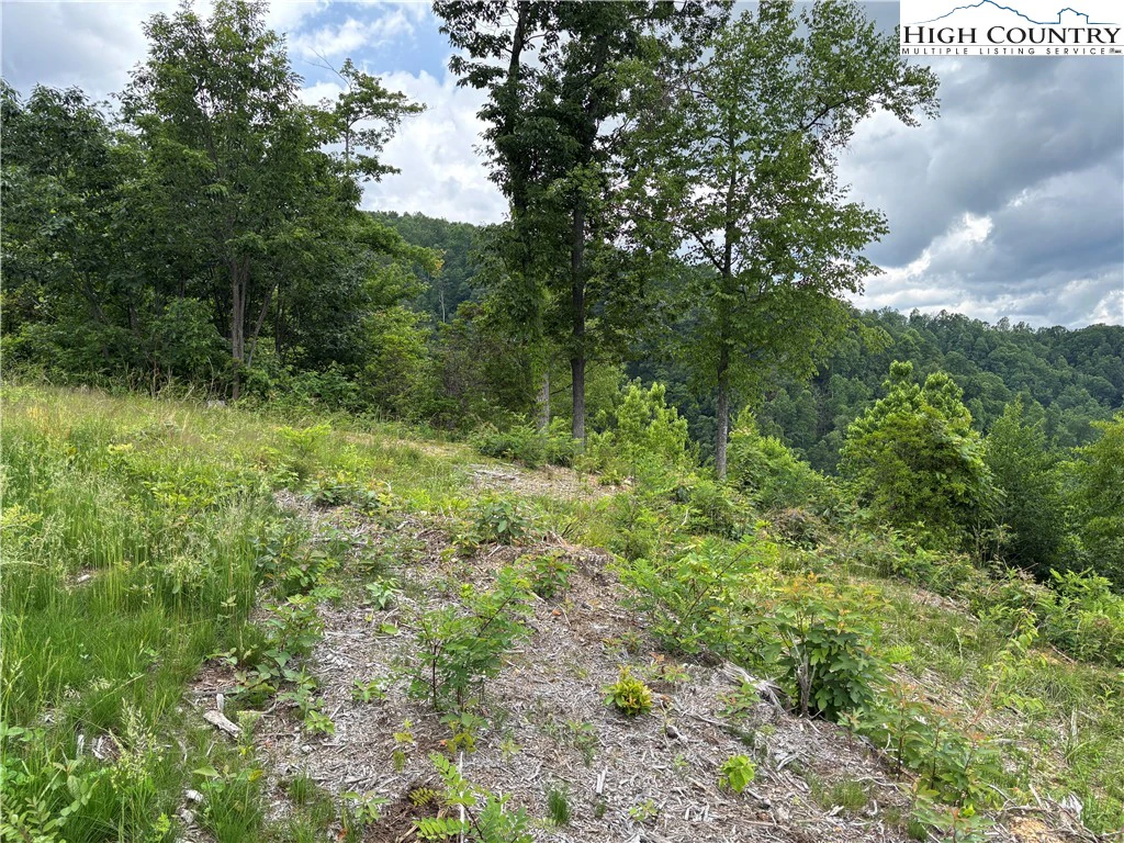 Image number 2 for the current listing