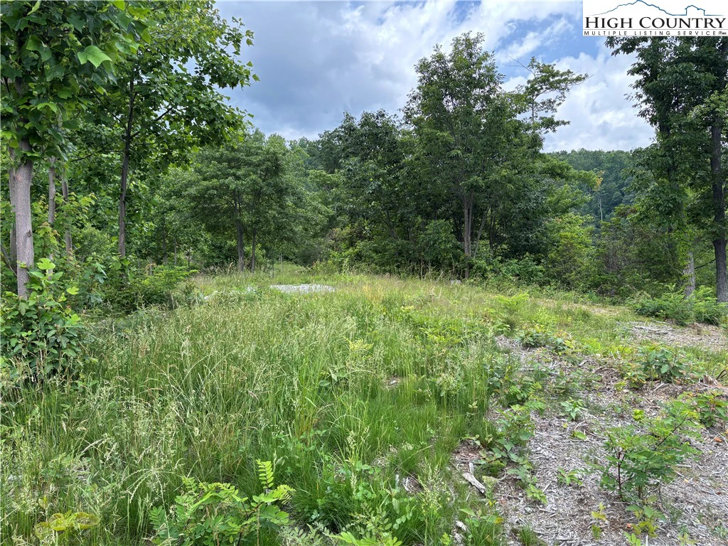 Image number 14 for the current listing