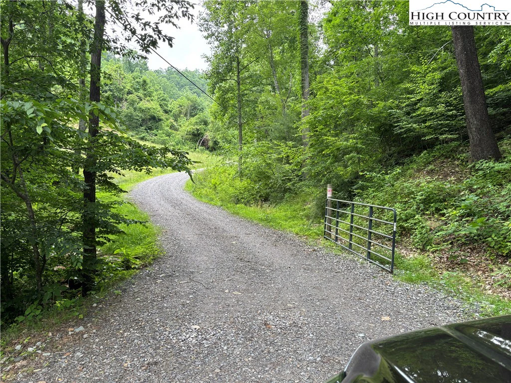 Image number 6 for the current listing