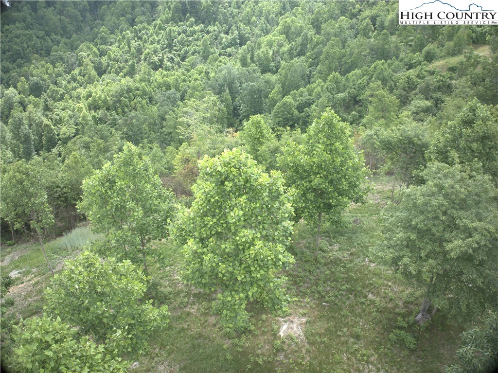 Image number 15 for the current listing