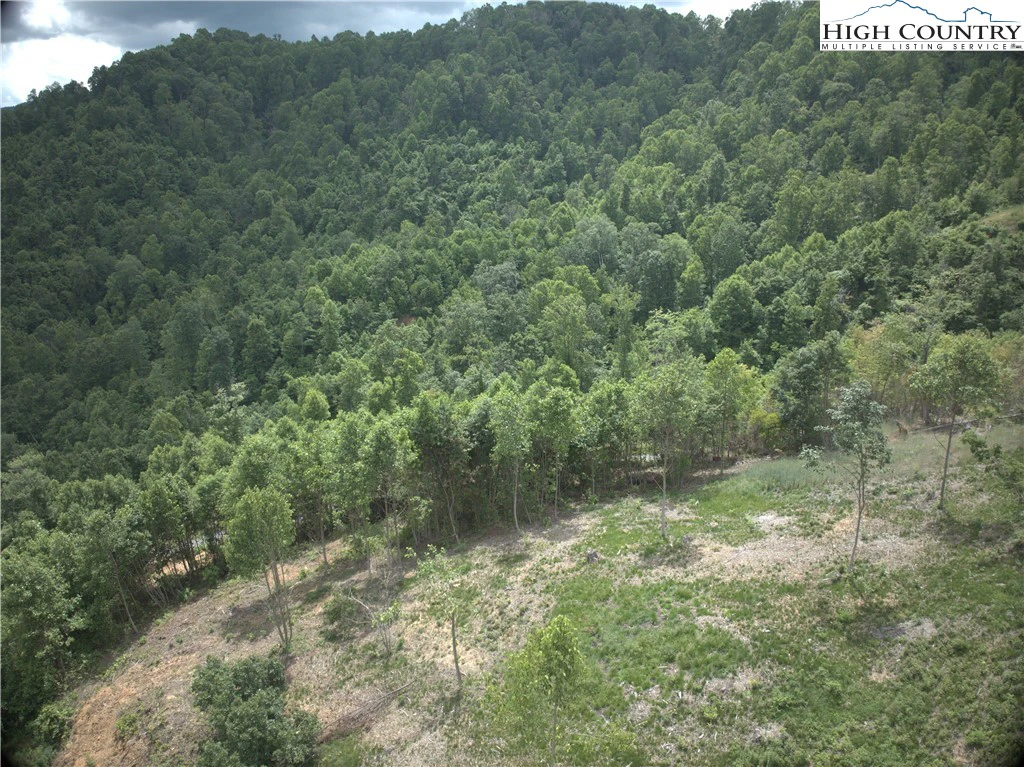 Image number 7 for the current listing
