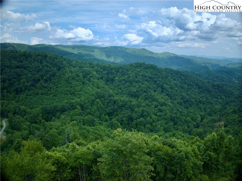 Image number 1 for the current listing