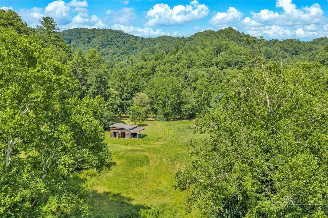 Image number 2 for the current listing