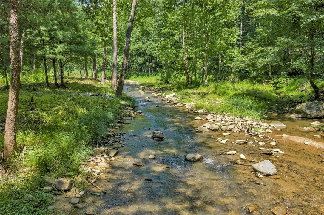 Image number 3 for the current listing