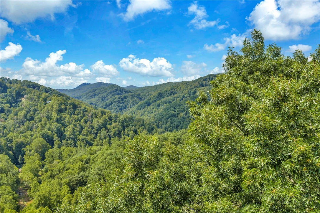 Image number 4 for the current listing