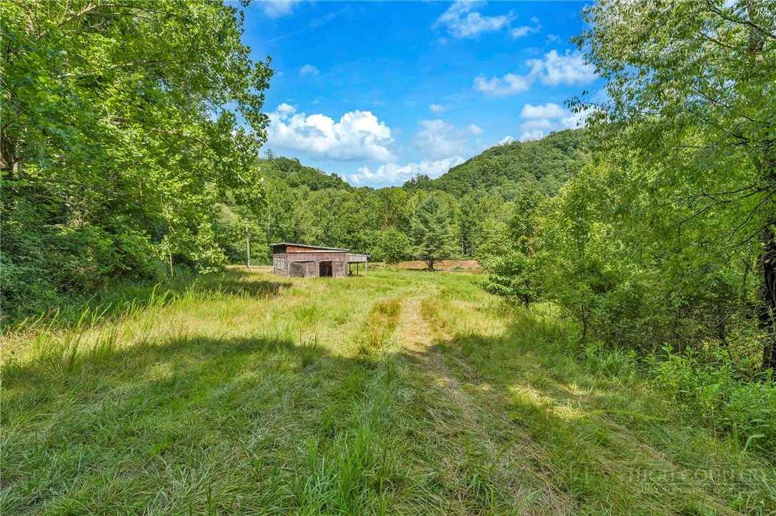 Image number 6 for the current listing