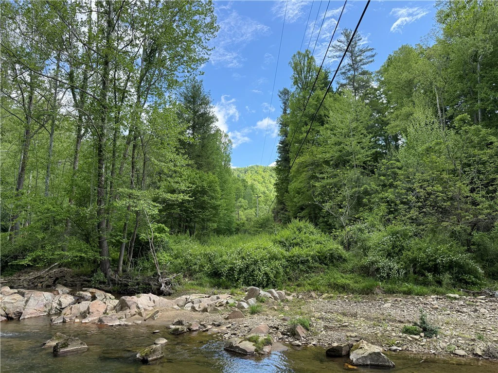 Image number 14 for the current listing