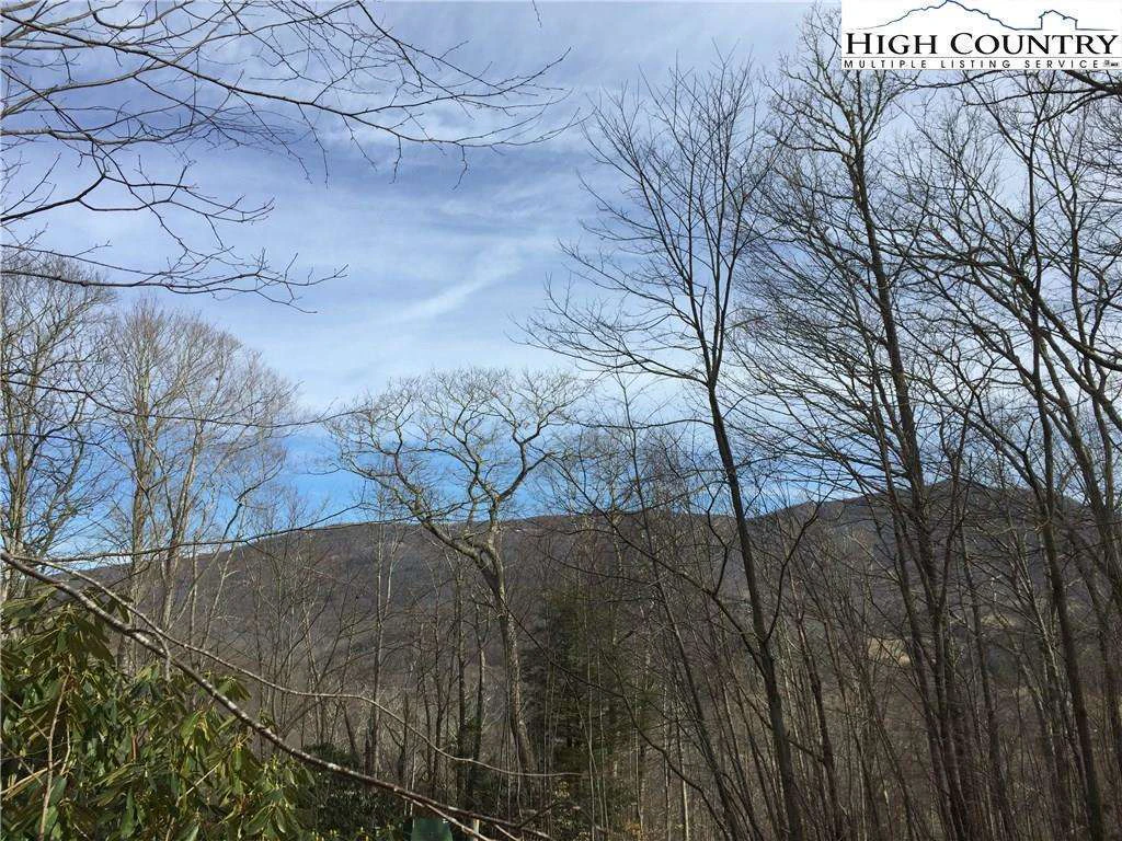 Image number 1 for the current listing
