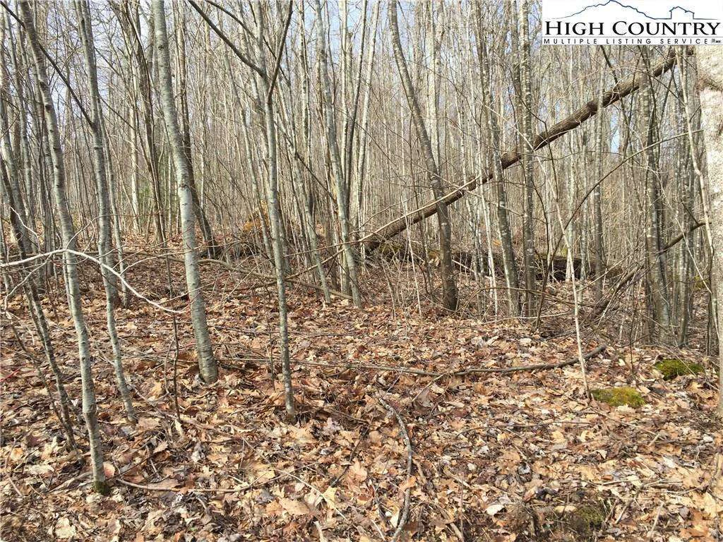 Image number 4 for the current listing