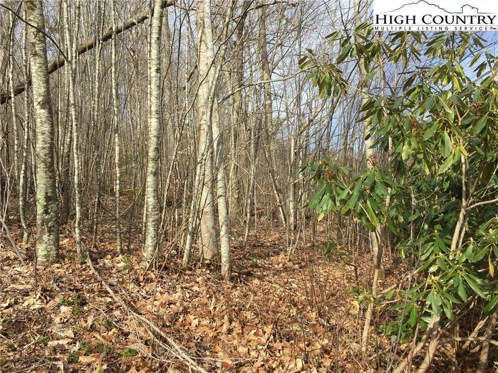 Image number 6 for the current listing