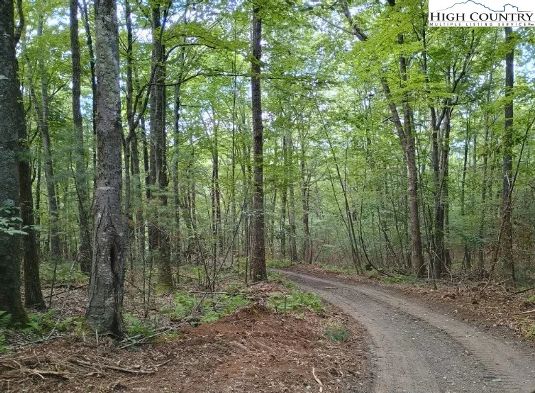 Image number 1 for the current listing