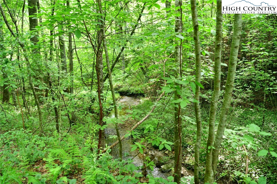 Image number 5 for the current listing