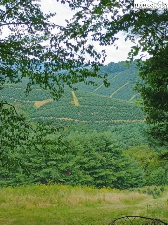 Image number 6 for the current listing