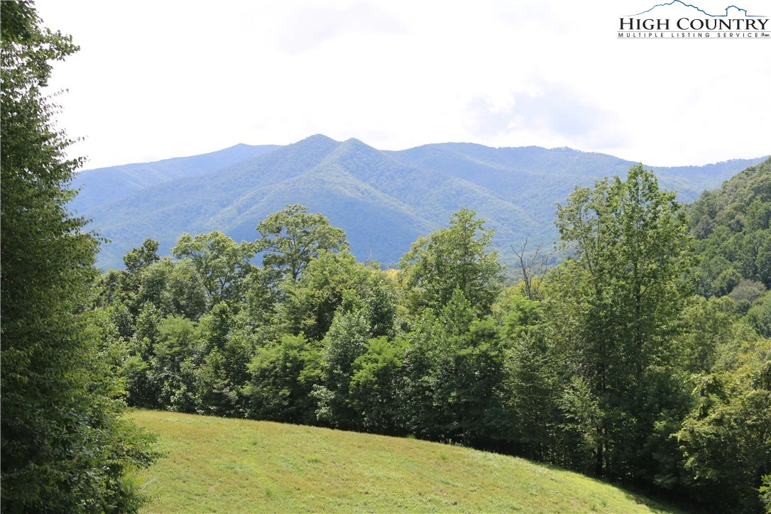 Image number 14 for the current listing