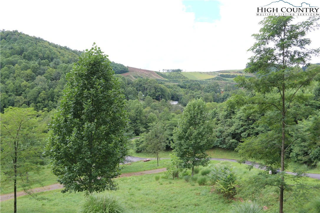 Image number 12 for the current listing