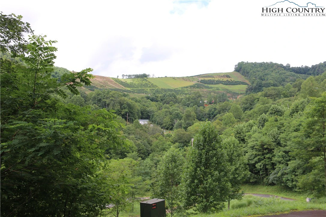 Image number 11 for the current listing