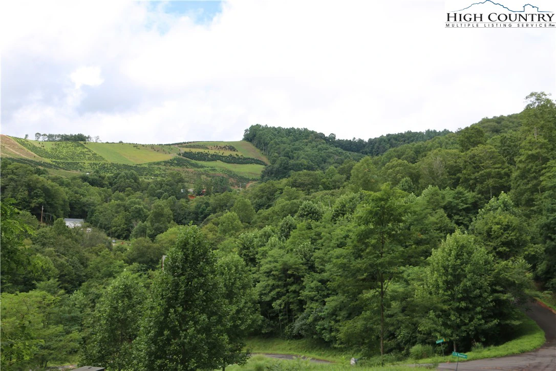 Image number 2 for the current listing