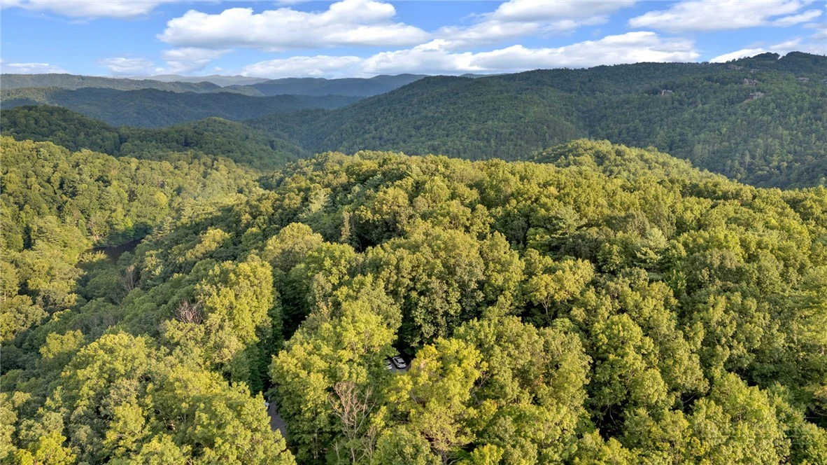Image number 1 for the current listing