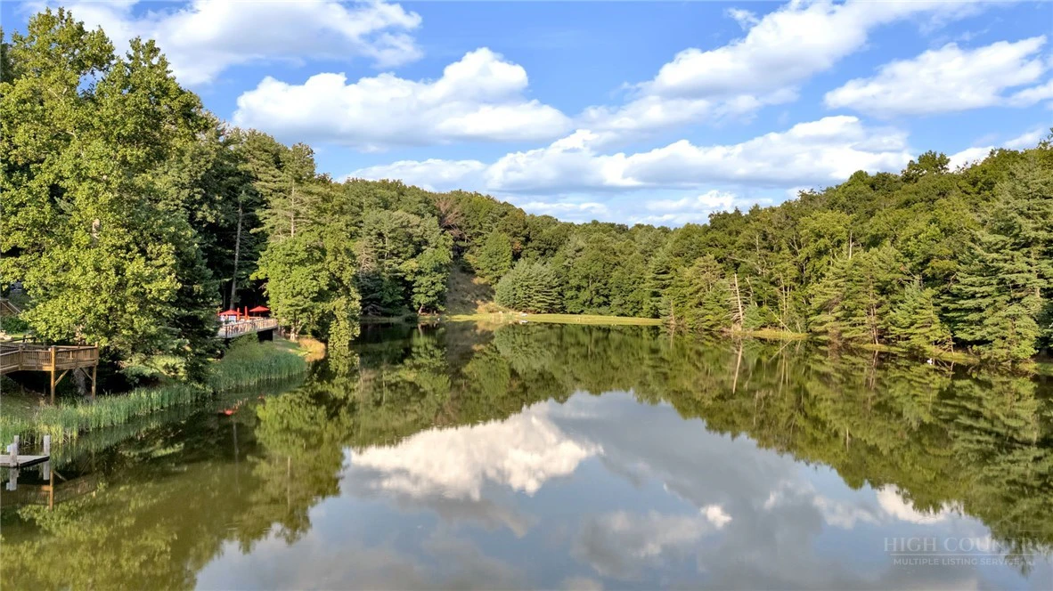 Image number 9 for the current listing