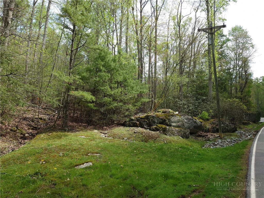 Image number 5 for the current listing