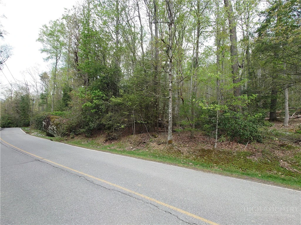 Image number 8 for the current listing