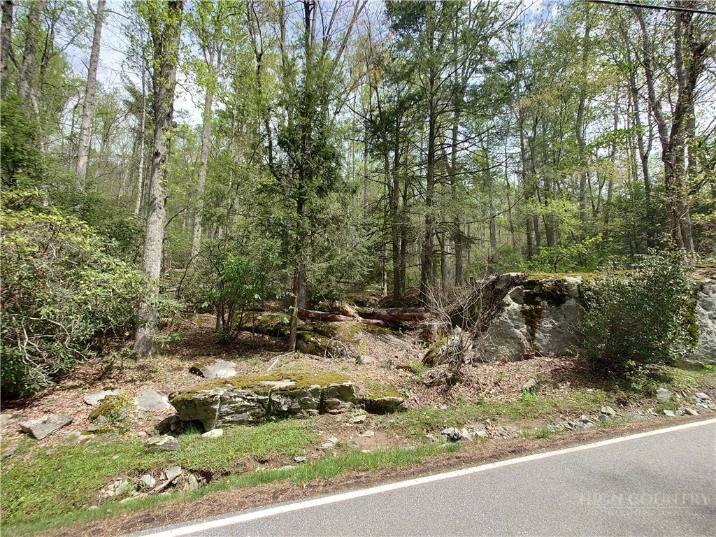 Image number 11 for the current listing