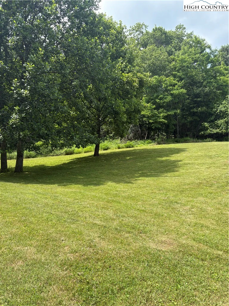 Image number 1 for the current listing