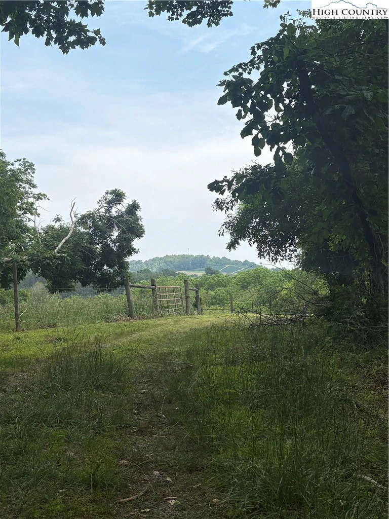 Image number 3 for the current listing