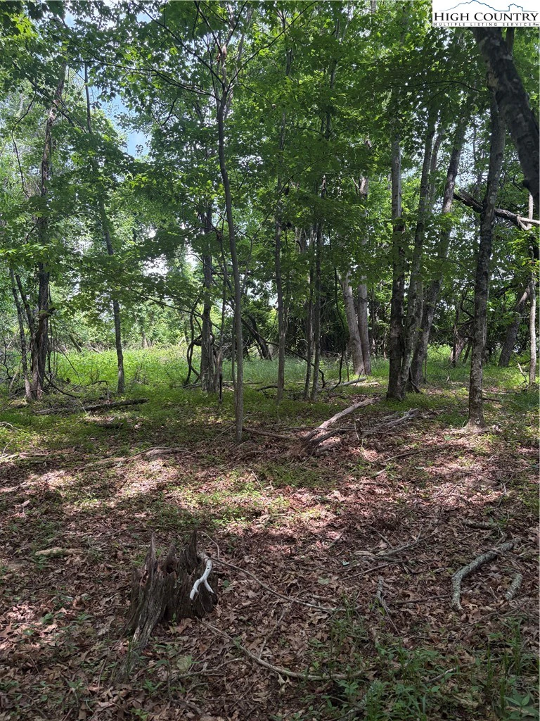 Image number 4 for the current listing