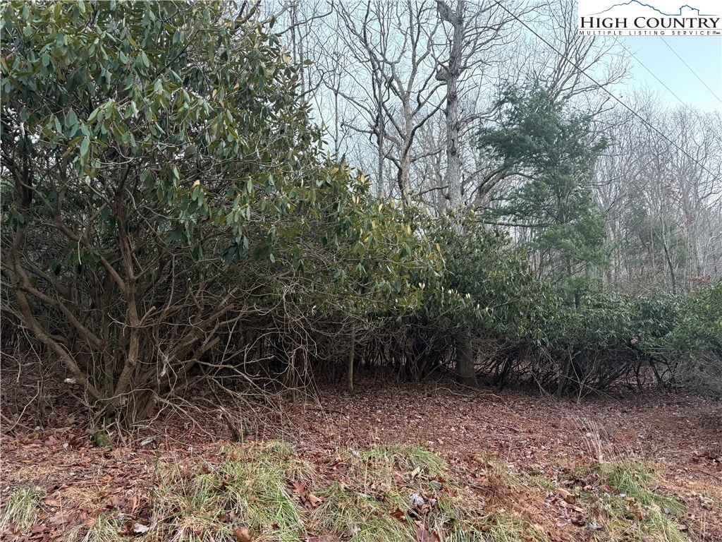Image number 5 for the current listing