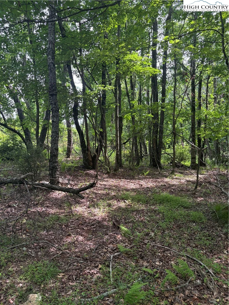 Image number 6 for the current listing