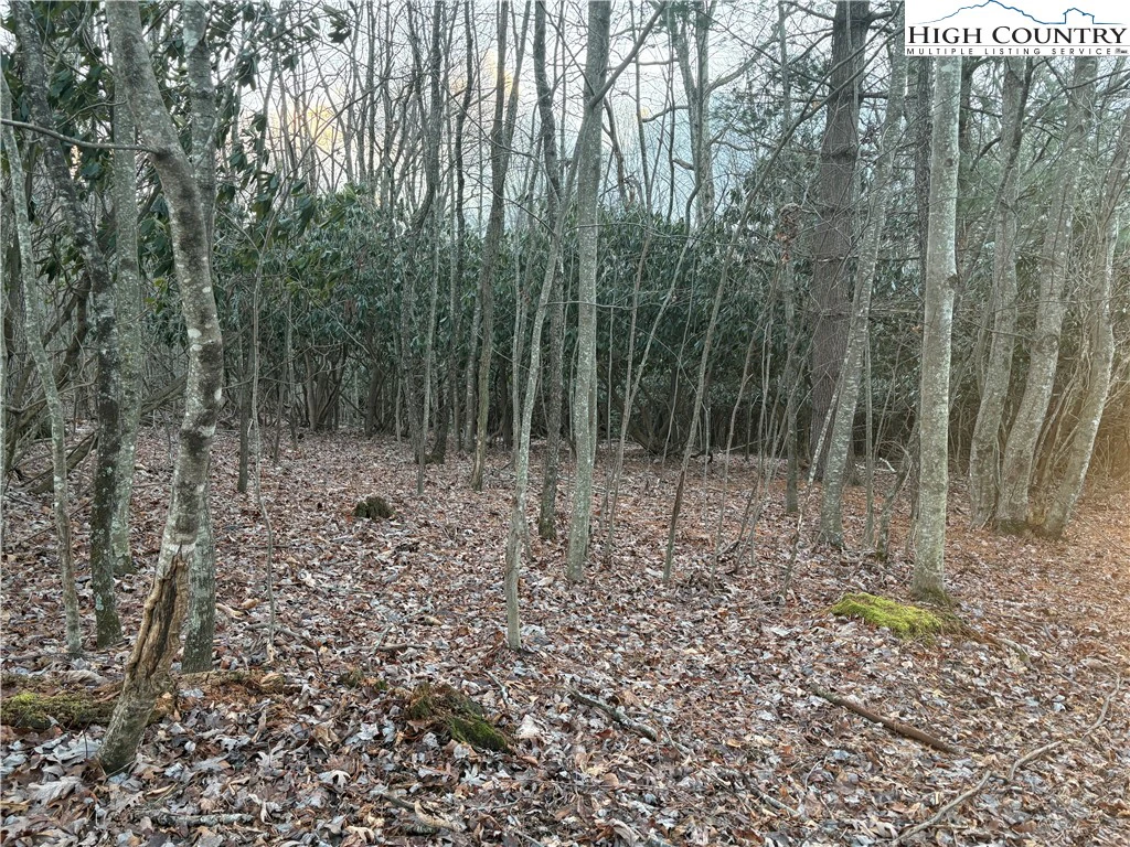 Image number 7 for the current listing
