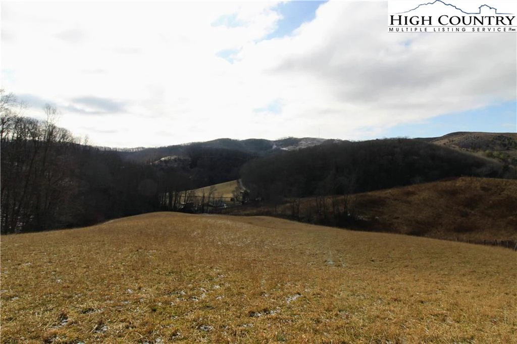 Image number 1 for the current listing