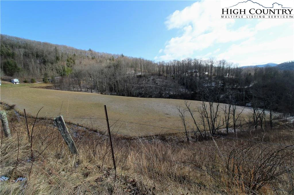 Image number 11 for the current listing